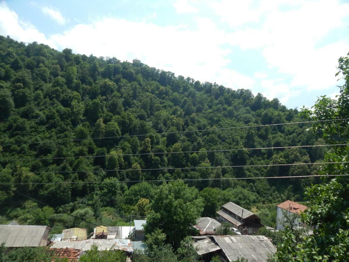 Arami Guest House Dilijan Eksteriør bilde